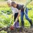 La marque Leborgne a lancé une gamme d'outils de jardinage pour les enfants que les apprentis jardiniers de plus de 3 ans vont pouvoir manier facilement et en toute sécurité.