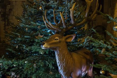 La féerie des illuminations de Noël 2017 La féerie des illuminations de Noël 2017