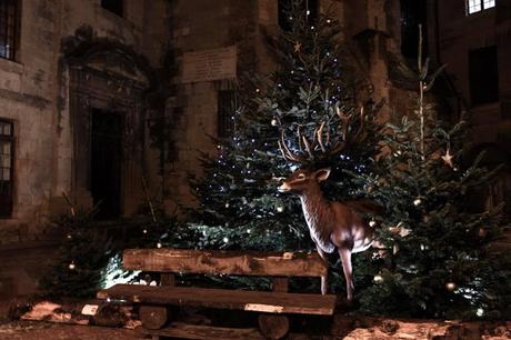 La féerie des illuminations de Noël 2017 La féerie des illuminations de Noël 2017
