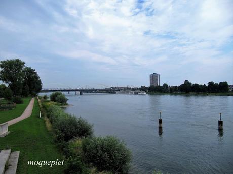 La France - L'Allemagne