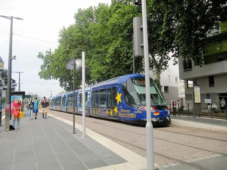 La France - L'Allemagne