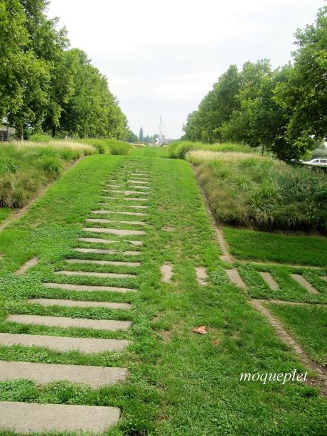 La France - L'Allemagne