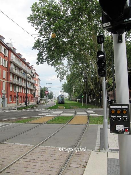 La France - L'Allemagne