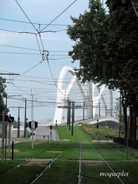 La France - L'Allemagne