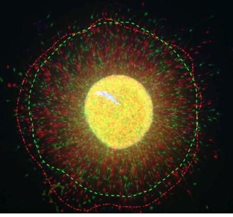 ÉVOLUTION : Comment CLOCK nous rend plus intelligents