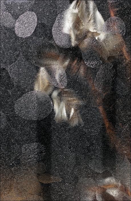 窓 – Fenêtre #20