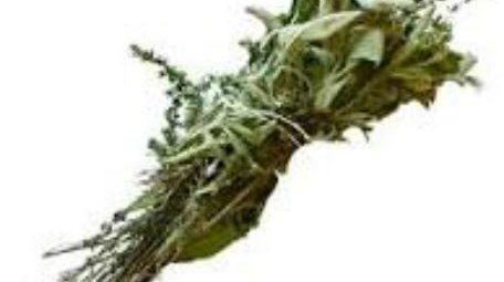 Les herbes aromatiques (3)