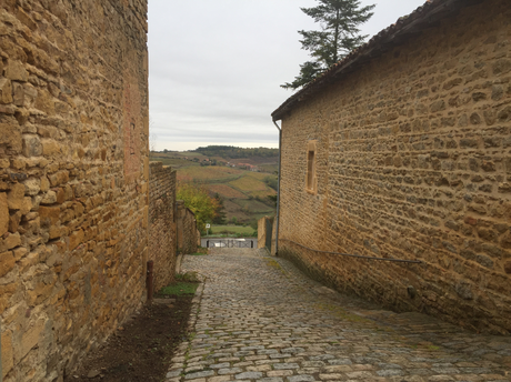 Carte postale d'Oingt en Beaujolais