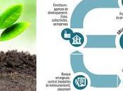 name bond, green bond