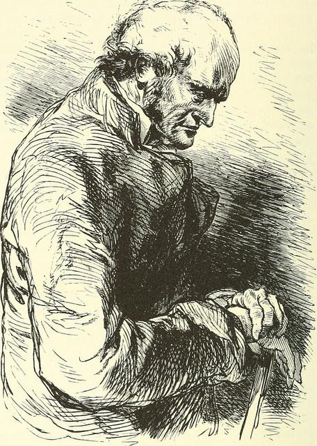 Des perles de brouillard aux moustaches Des perles de brouillard aux moustaches