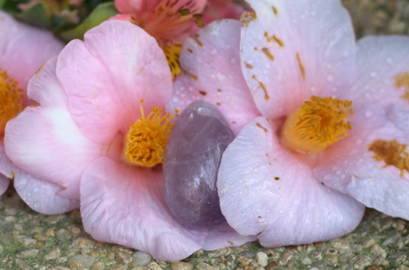 A la découverte de sa féminité avec les oeufs de Yoni A la découverte de sa féminité avec les oeufs de Yoni