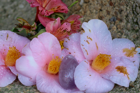 A la découverte de sa féminité avec les oeufs de Yoni A la découverte de sa féminité avec les oeufs de Yoni