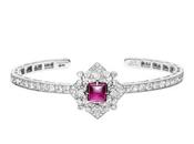 Giampiero Bodino Collection Capsule Rosa Venti Noël 2017