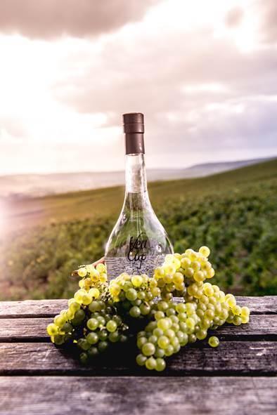 Vodka Veuve Capet – DISTILLED WITH IRREVERENCE