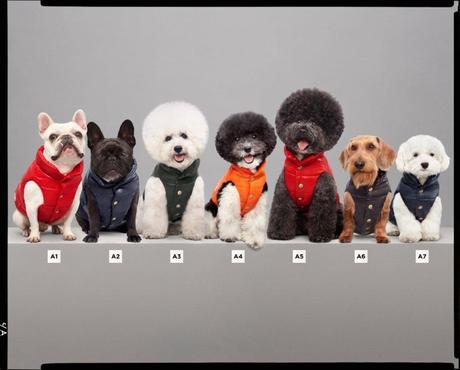 MONCLER & POLDO DOG COUTURE MONCLER & POLDO DOG COUTURE