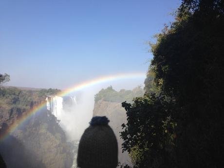 Victoria Falls #1