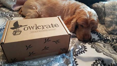 Unboxing Owlcrate (n°5)