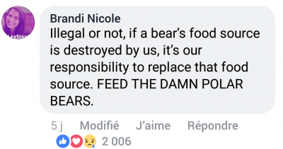 L’ours ou la vie