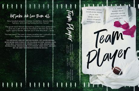 TeamPlayerBookCover6x9_BW_828.jpg