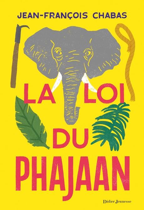 Romans jeunesse et ados - coups de cœur de mes présentations 2017 et idées cadeaux Romans jeunesse et ados - coups de cœur de mes présentations 2017 et idées cadeaux