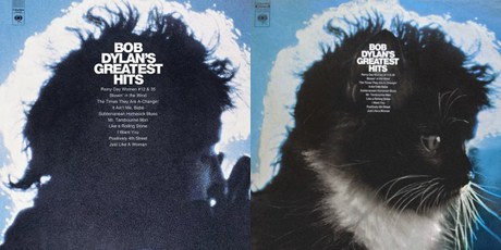 Ce graphiste reproduit des pochettes d’albums cultes avec des chats
