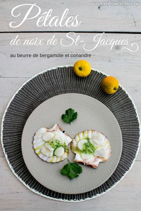 Pétales de noix de St-Jacques au beurre de bergamote et coriandre [recette]