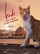 Kedi : Des Chats et des Hommes, le doc à ne pas manquer