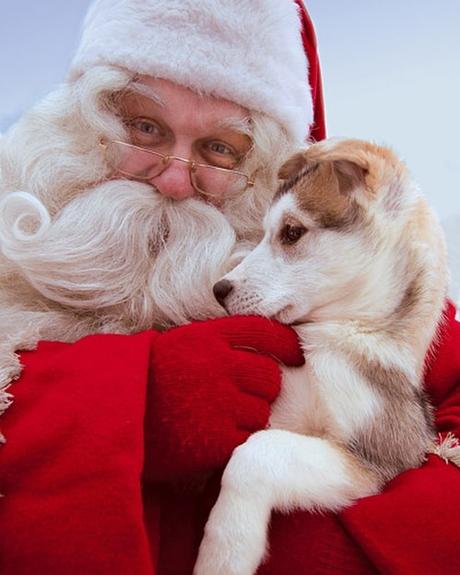 Les 7 comptes Instagram à suivre pour Noël Instagram Photo