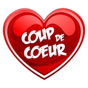 La légende de la fleur de soleil de Gilles La Carbona