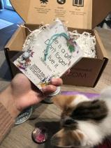 UNADJUSTEDNONRAW_thumb_2dcf