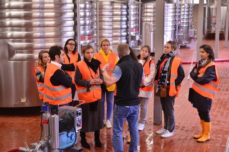 Flashback sur les vendanges de Veuve Clicquot Flashback sur les vendanges de Veuve Clicquot