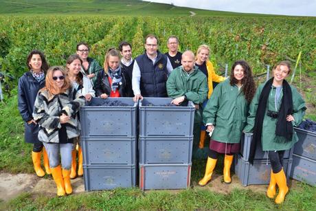 Flashback sur les vendanges de Veuve Clicquot Flashback sur les vendanges de Veuve Clicquot
