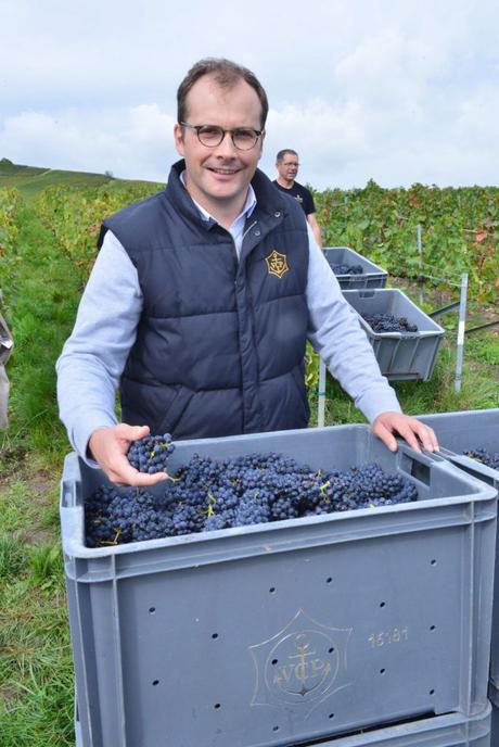 Flashback sur les vendanges de Veuve Clicquot Flashback sur les vendanges de Veuve Clicquot