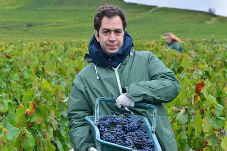 Flashback sur les vendanges de Veuve Clicquot Flashback sur les vendanges de Veuve Clicquot