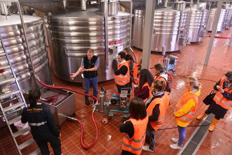 Flashback sur les vendanges de Veuve Clicquot Flashback sur les vendanges de Veuve Clicquot