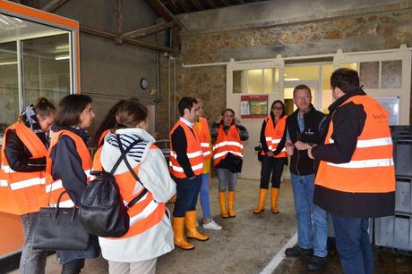 Flashback sur les vendanges de Veuve Clicquot Flashback sur les vendanges de Veuve Clicquot