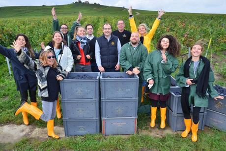 Flashback sur les vendanges de Veuve Clicquot Flashback sur les vendanges de Veuve Clicquot