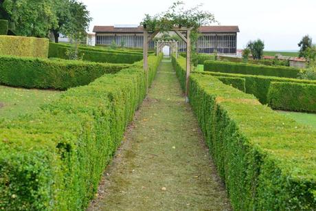 Flashback sur les vendanges de Veuve Clicquot Flashback sur les vendanges de Veuve Clicquot