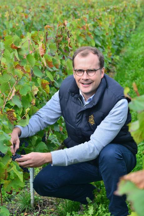 Flashback sur les vendanges de Veuve Clicquot Flashback sur les vendanges de Veuve Clicquot