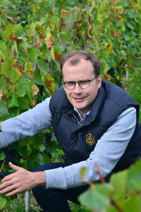 Flashback sur les vendanges de Veuve Clicquot Flashback sur les vendanges de Veuve Clicquot