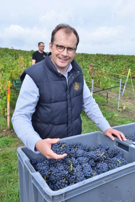 Flashback sur les vendanges de Veuve Clicquot Flashback sur les vendanges de Veuve Clicquot