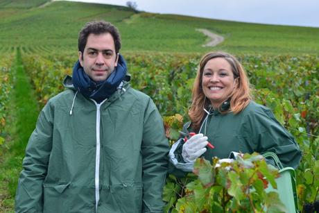 Flashback sur les vendanges de Veuve Clicquot Flashback sur les vendanges de Veuve Clicquot