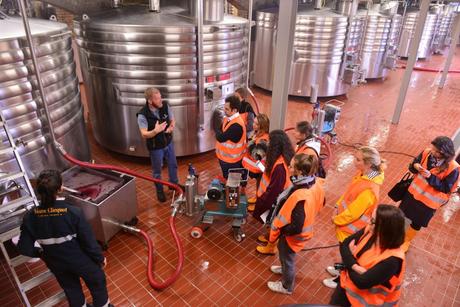 Flashback sur les vendanges de Veuve Clicquot Flashback sur les vendanges de Veuve Clicquot