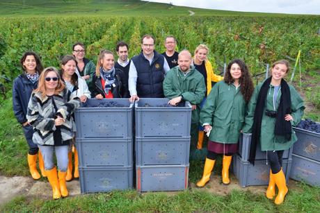 Flashback sur les vendanges de Veuve Clicquot