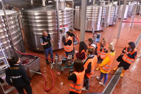 Flashback sur les vendanges de Veuve Clicquot Flashback sur les vendanges de Veuve Clicquot