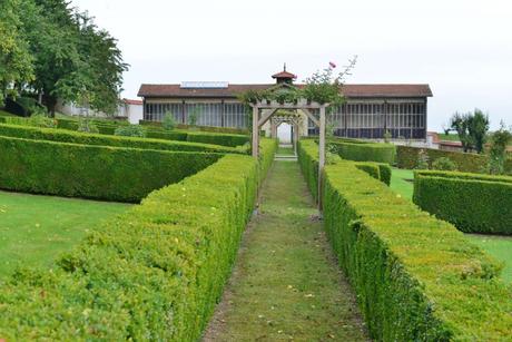Flashback sur les vendanges de Veuve Clicquot Flashback sur les vendanges de Veuve Clicquot