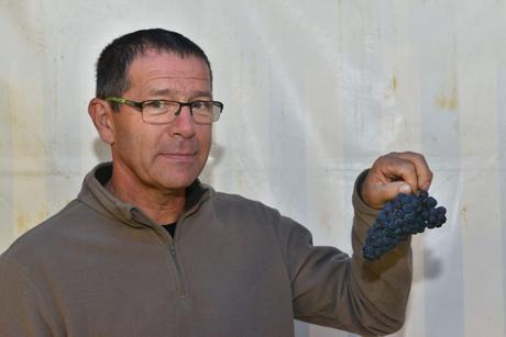 Flashback sur les vendanges de Veuve Clicquot Flashback sur les vendanges de Veuve Clicquot