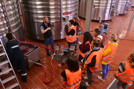 Flashback sur les vendanges de Veuve Clicquot Flashback sur les vendanges de Veuve Clicquot