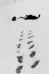 La Noël des poètes walser-robert-25-12-1956.jpg