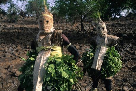 « DES ARAIGNEES ET DES FORÊTS ».RETOUR DE L’ANIMISME ET PENSEE ECOLOGIQUE(2)